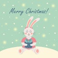 ÃÂ¡ute rabbit girl with a present. Winter card with shining lights and snow. Merry Christmas text